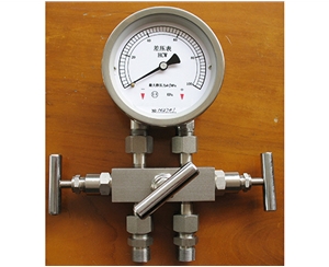 杭州差压表带三阀组
