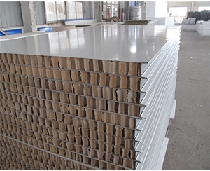 杭州50厚1150型纸蜂窝夹芯板
